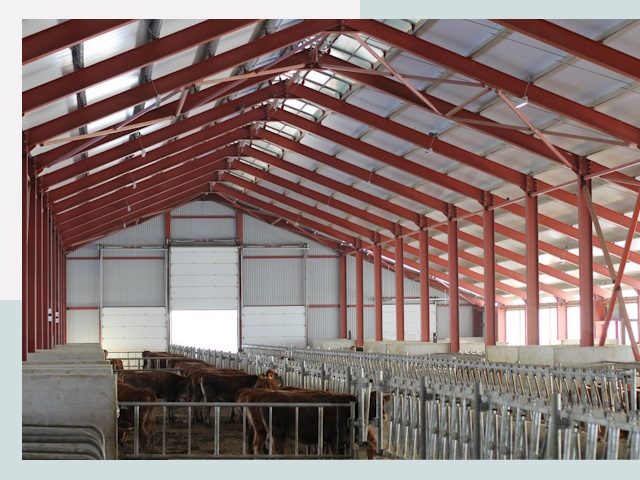 Строительство коровников в Канске