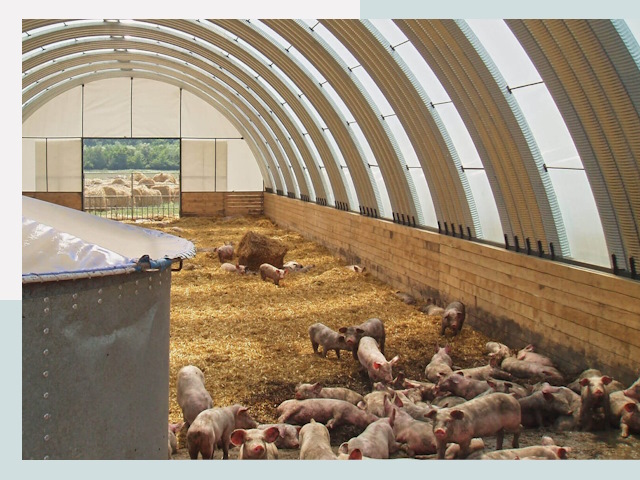 Строительство свинарников в Канске